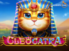 Cats casino. Toz tavşanı.56